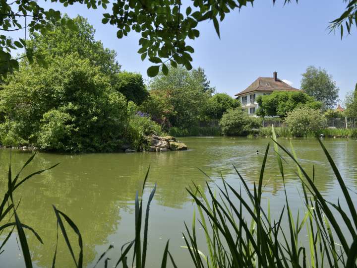 Bergweiher Roggwil mit Kleintieranlage