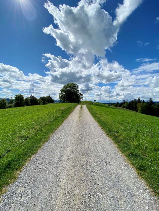 Dr gross Sumiswauder