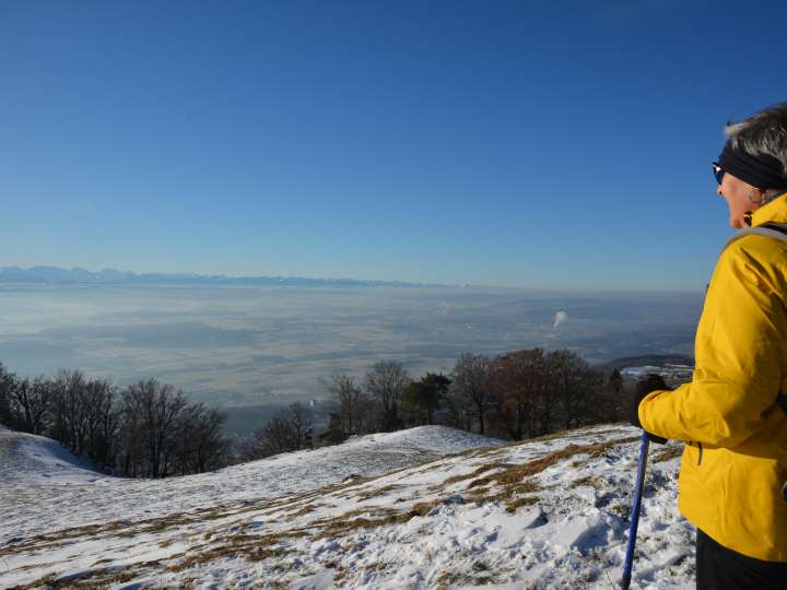 Aussichtspunkt Ankehubel
