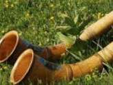 Alphorn Workshop