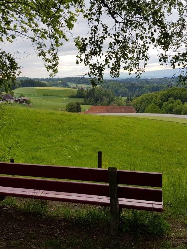 Hermiswil - Ochlenberg