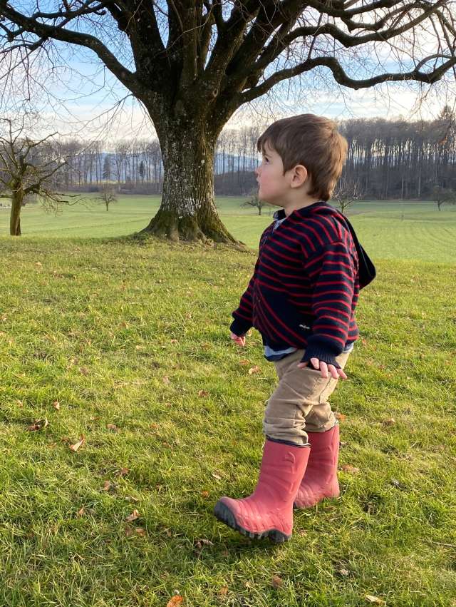 Gemütliche Wanderung