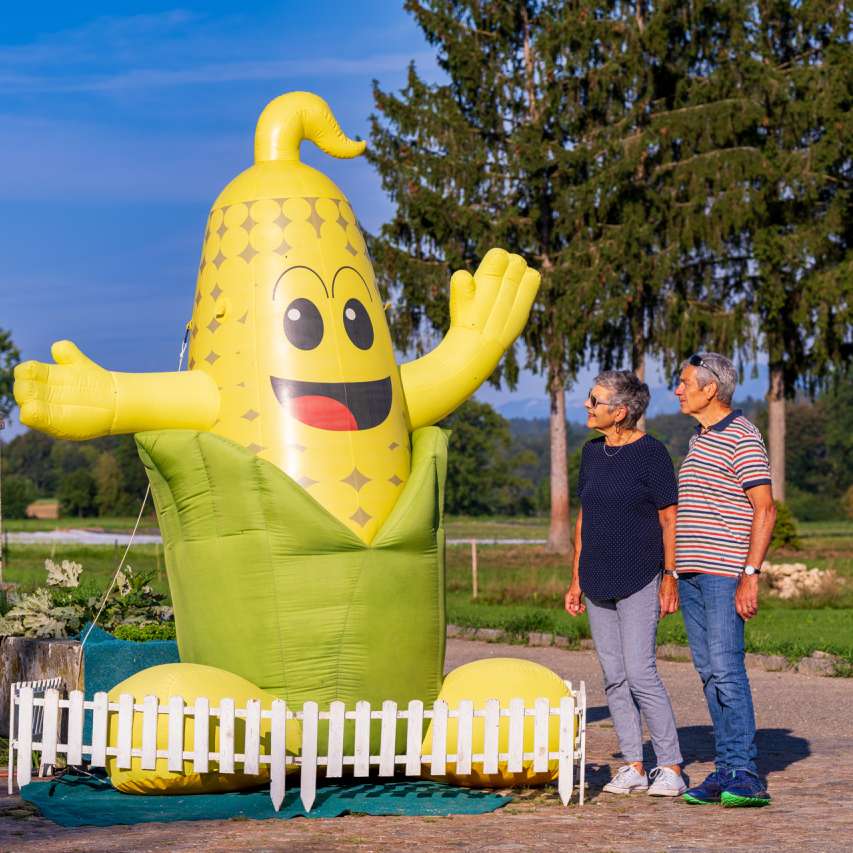 Spass im Maislabyrinth