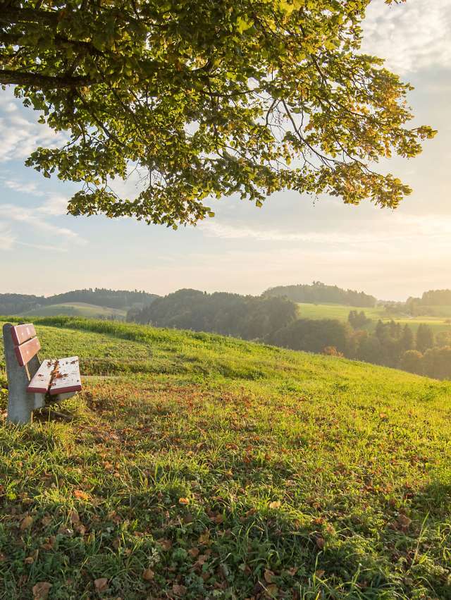 Langenthal - Ochlenberg
