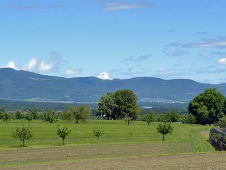 Aussichtspunkt Bergbündte 