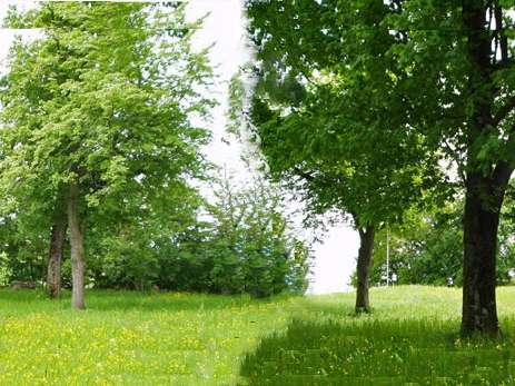 Aussichtspunkt Flüehli