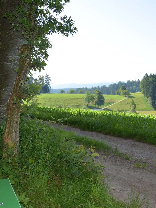 südlicher Oberaargau