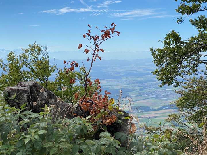 Aussichtspunkt Hällchöpfli