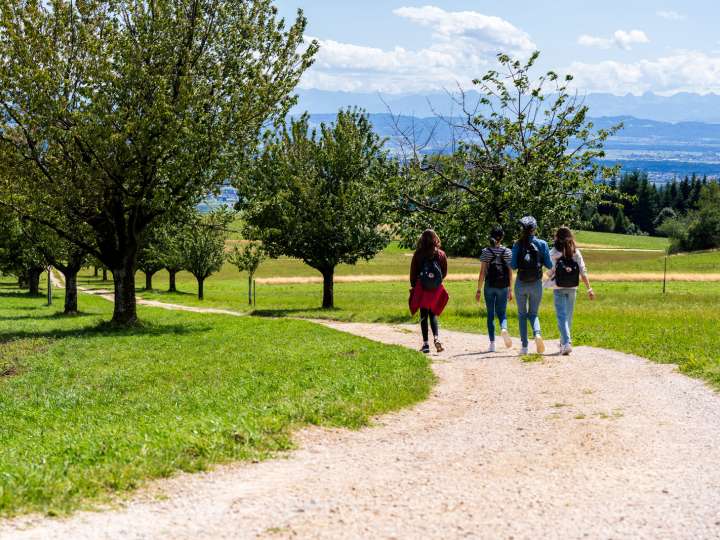 Aussichtspunkt Reckenacker