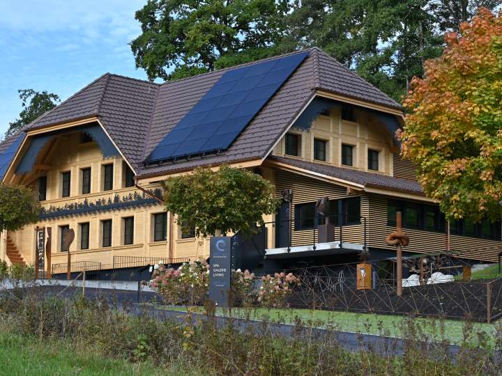 BLUE-art ROGGEGRATBAD